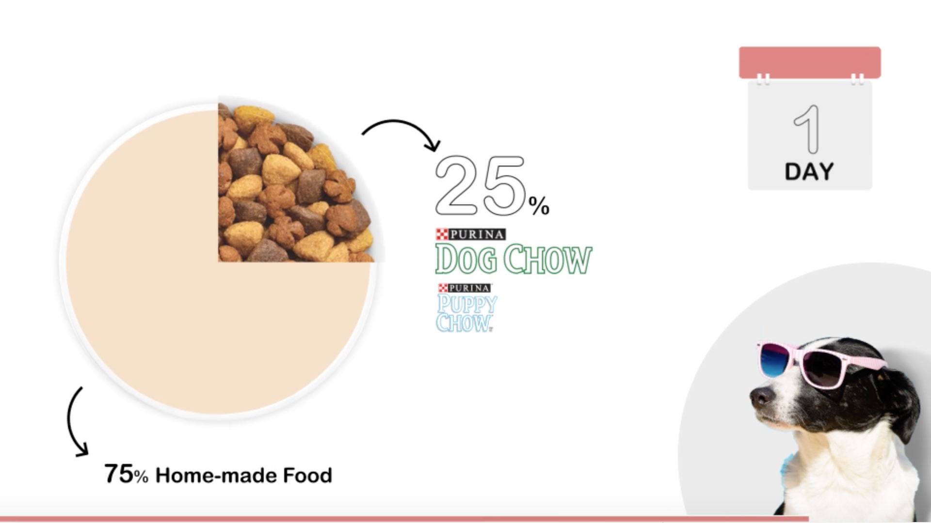 Purina: Explainer Video (How To Switch To Dog Chow)